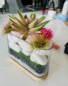 A Botanical Dream
