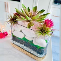A Botanical Dream