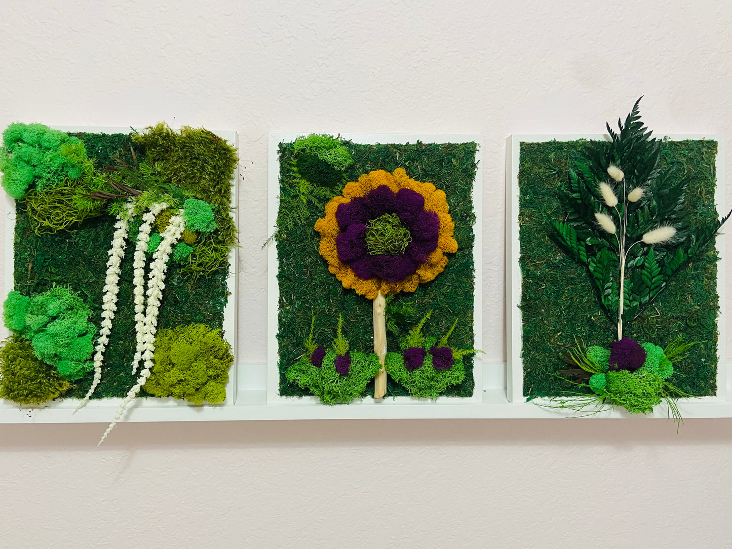 Moss & Bunny Tails Wall Art