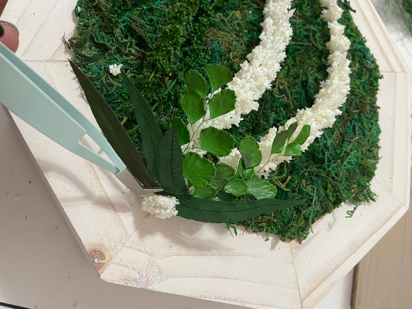 Chunky Octagon Moss Living Moss Art Set