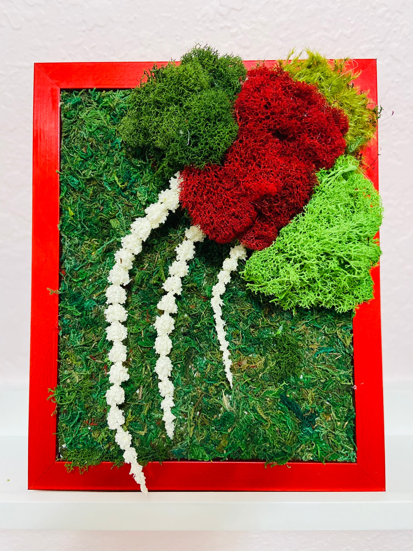Red Moss Wall Art Set